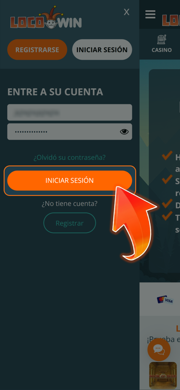 Accede a tu cuenta de LocoWin para realizar un depósito seguro.